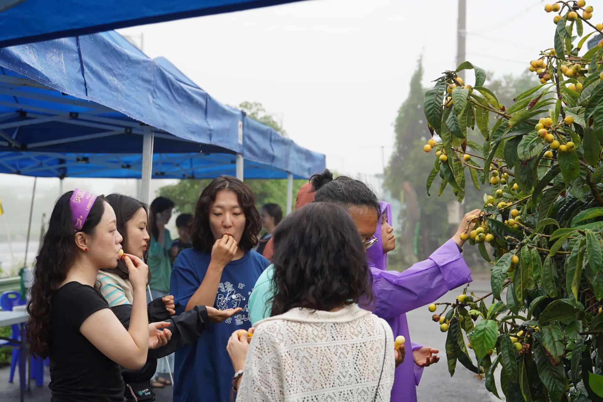 Photo du Camp de Musique pour la Paix de Gangjeong 2025