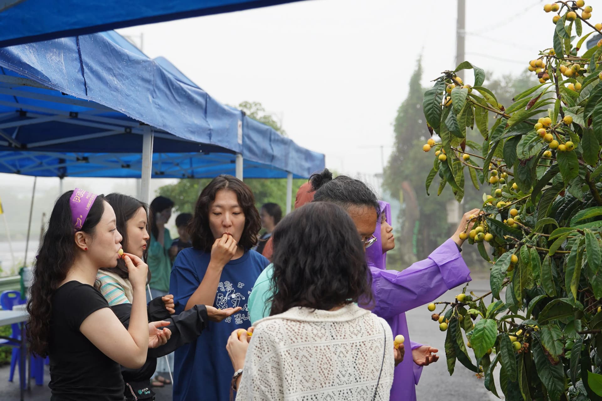 Foto do Campo de Música pela Paz de Gangjeong 2025