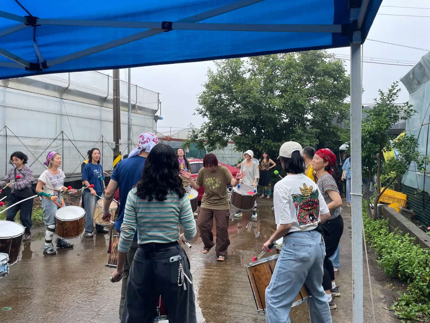 Gangjeong Peace Music Camp 2025 photo