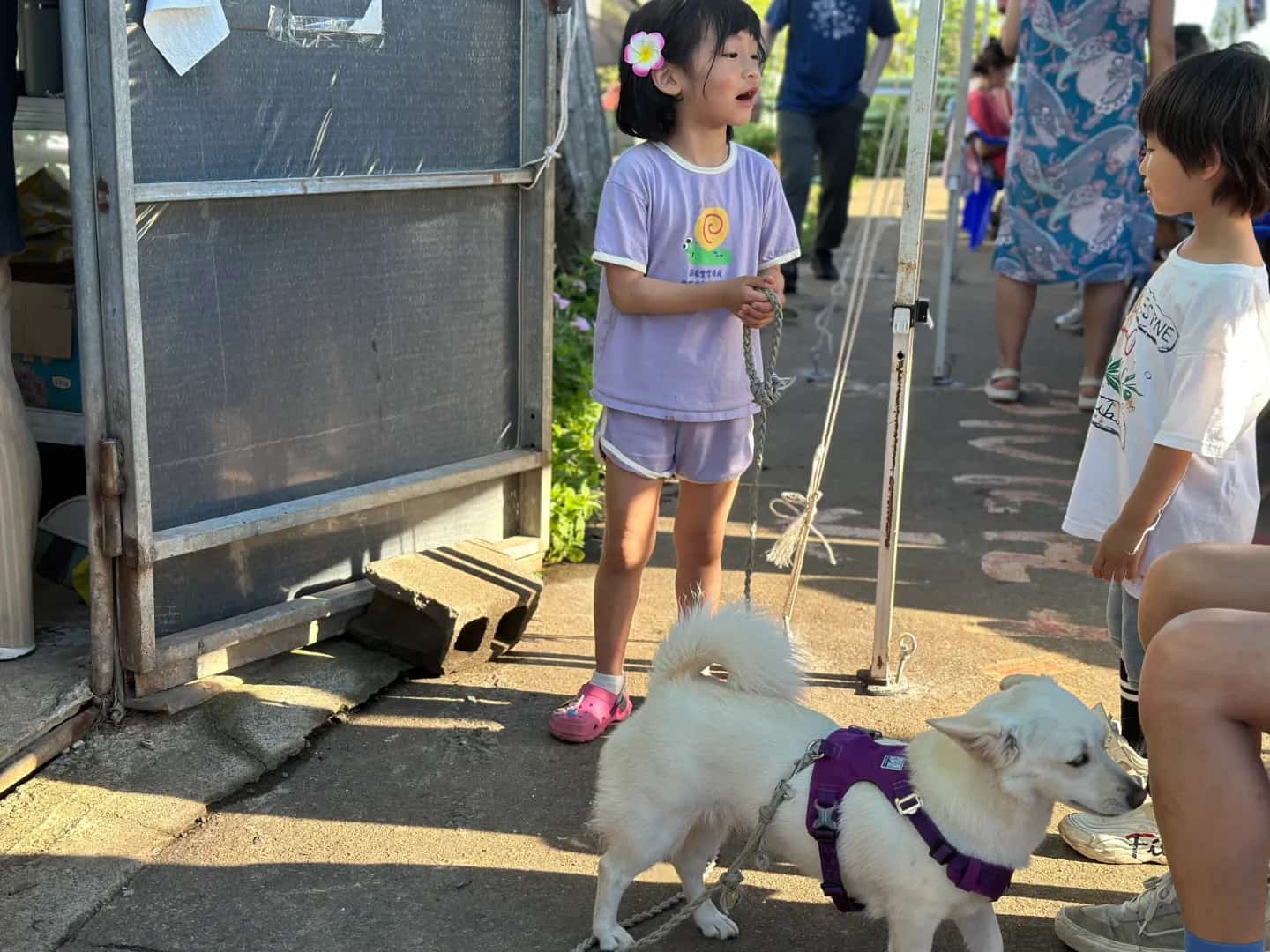 Gangjeong Peace Music Camp 2025 photo