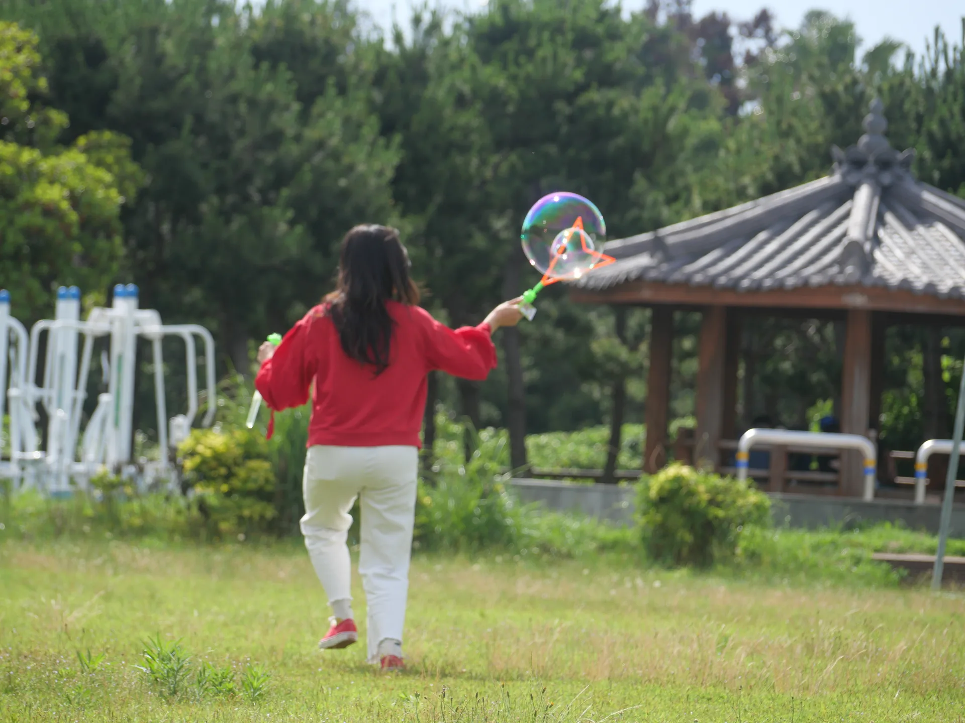 Foto do Campo de Música pela Paz de Gangjeong 2026